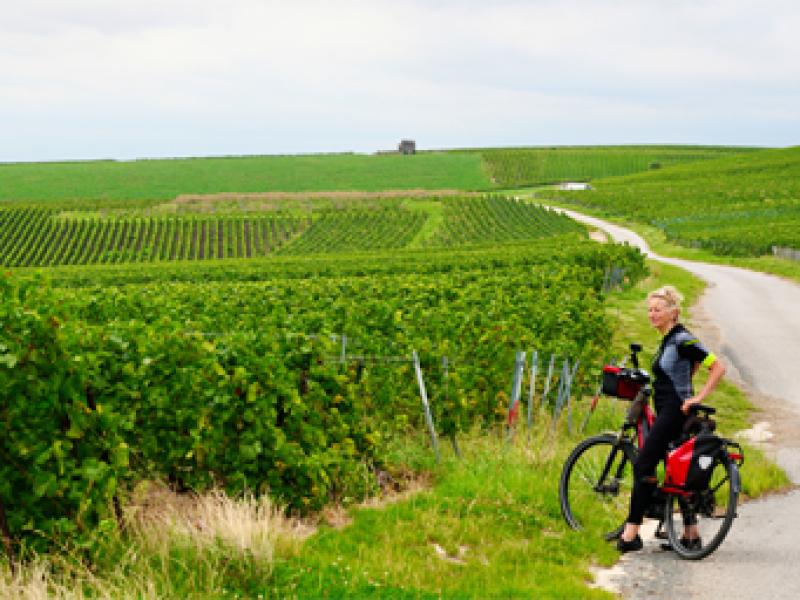Bubbels en fietsen door de Champagne