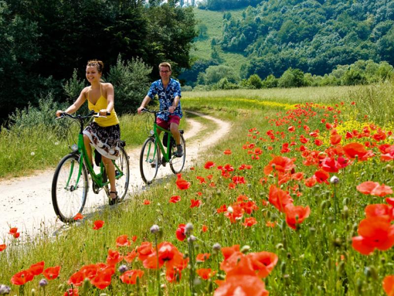 Main Radweg - van Bamberg naar Frankfurt