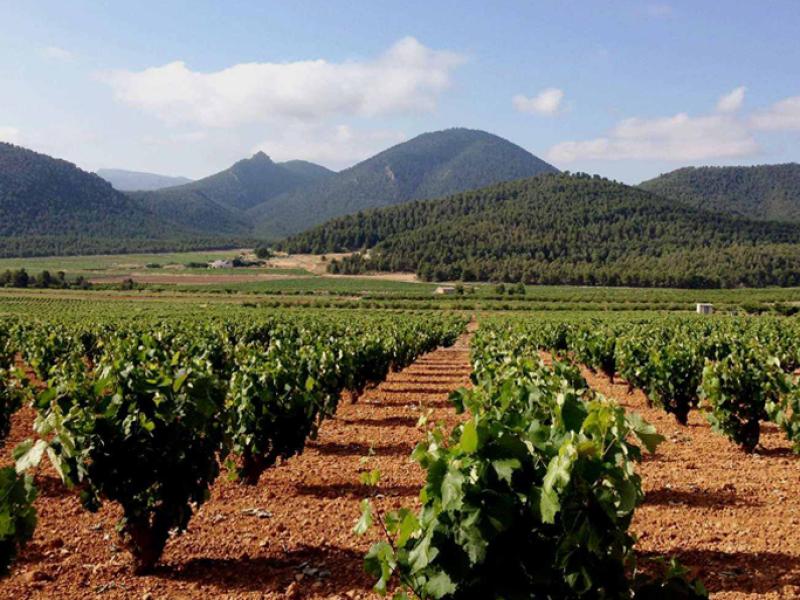 Pais Valencià - De 'Wijn & Zout' route