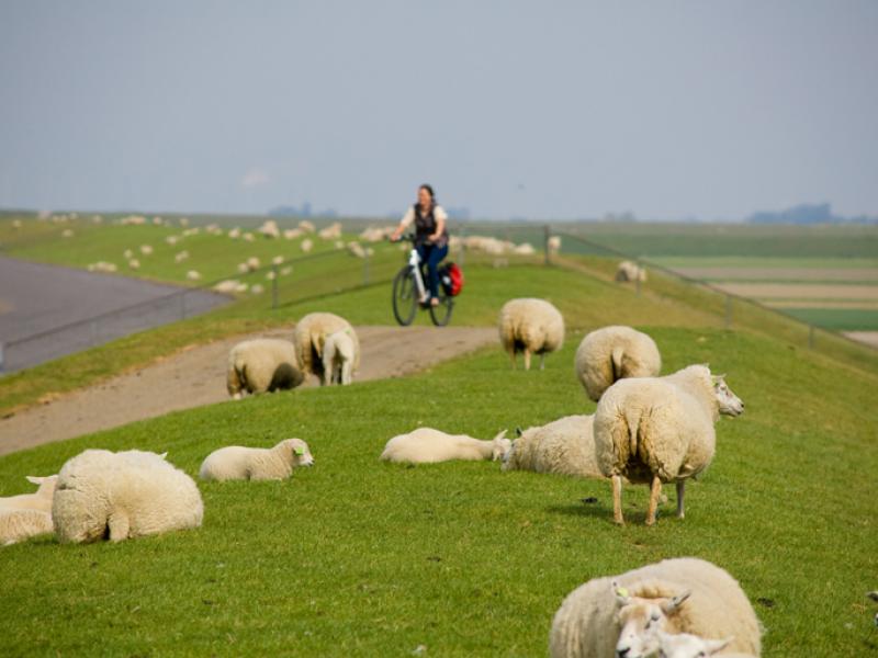 Pieterpad op de Fiets - etappe 1 - Pieterburen > Hellendoorn