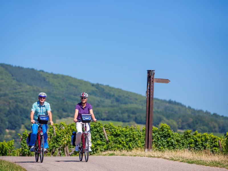 Rijnroute - etappe 2 - van Konstanz naar Offenburg